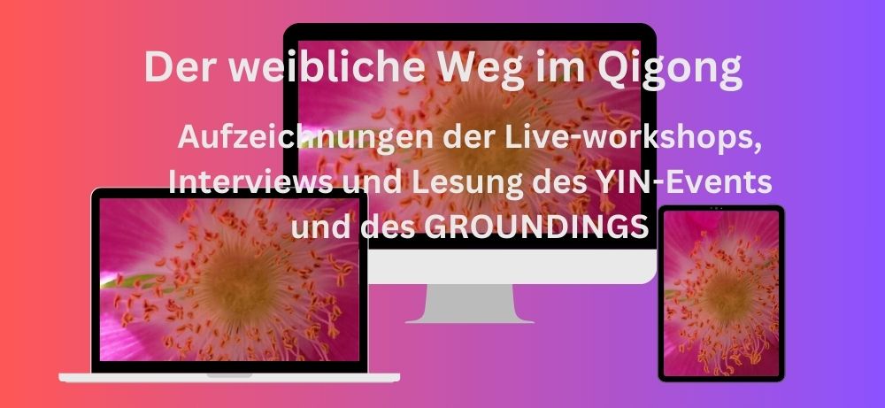 YIN Grounding Paket Bundle Produktmockup