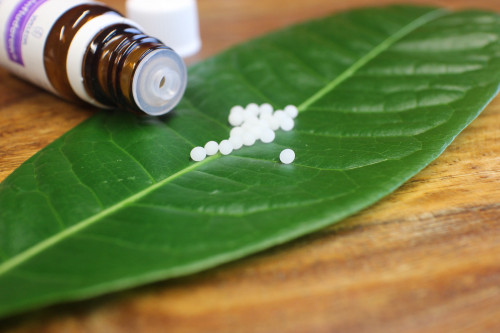 Homöopathische Flasche mit weißen Globuli auf grünem Blatt