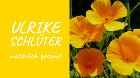 Gelbe Grafik mit Ulrike Schlüter und orange-gelben Blüten