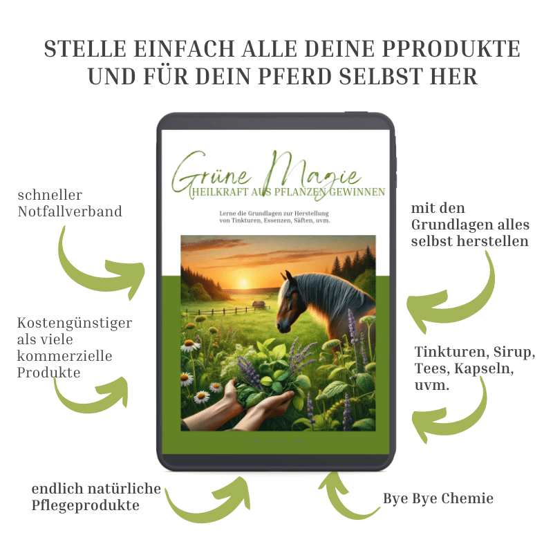 eBook-Cover "DIY Heilmittel für Pferde - Grüne Magie" mit Pferd und Heilkräutern auf Tablet-Mockup