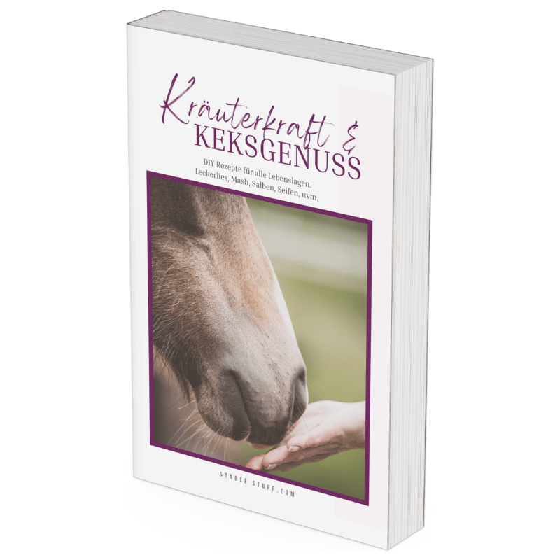 "Kräuterkraft & Keksgenuss" eBook-Cover mit Pferd in 3D-Buchformat, lila Rahmen