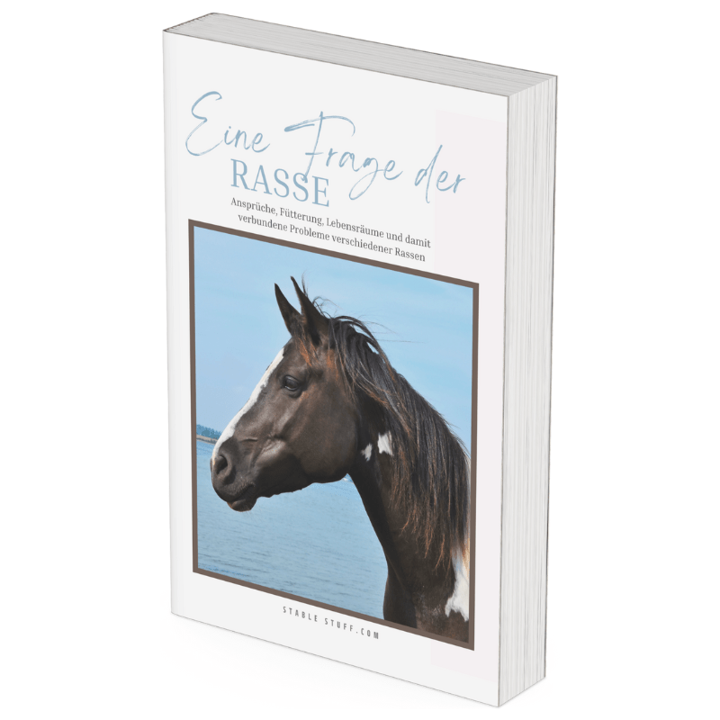 "Eine Frage der Rasse" eBook-Cover mit schwarzem Pferd in 3D-Buchansicht