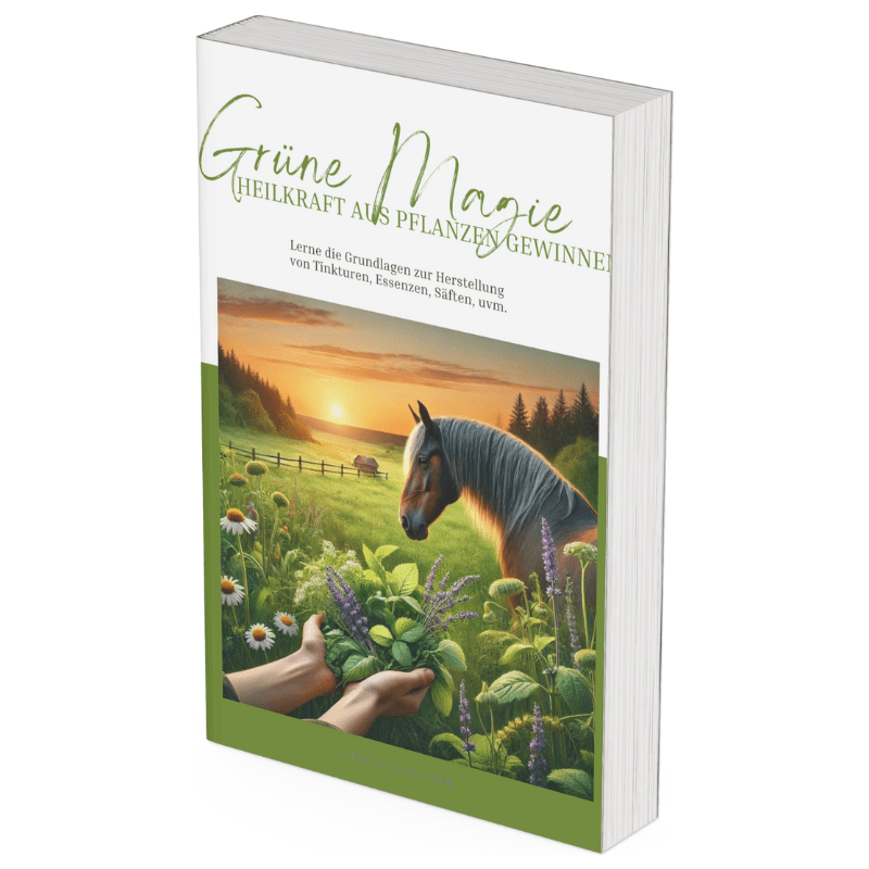 Grüne Magie – Heilkraft aus Pflanzen gewinnen, 3D-Buchcover mit Pferd und Heilkräutern