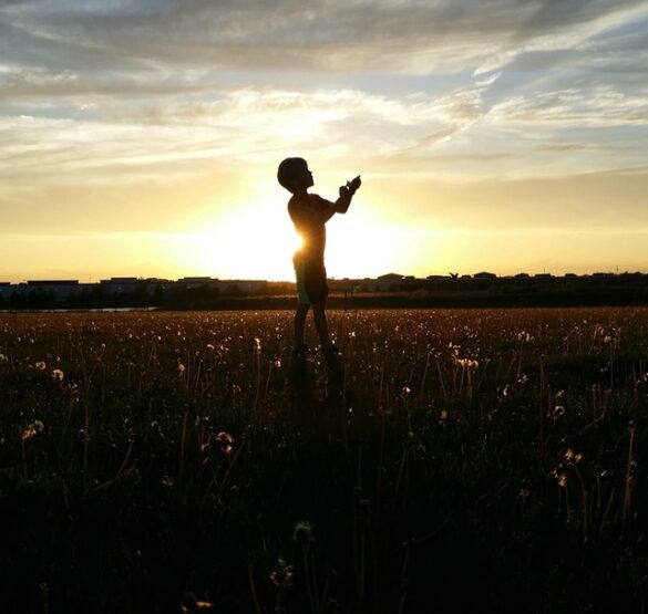 Silhouette Kind auf Blütenfeld bei Sonnenuntergang