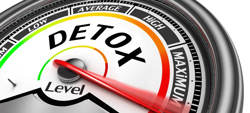 Detox-Barometer mit Zeiger im Bereich hoher Entgiftung, misst Detox-Effektivität
