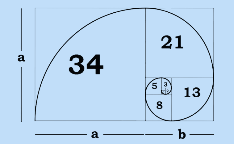 Happy Plant – Audioprogramm für Pflanzen 14 Diagramm mit Fibonacci-Zahlenfolge: 34, 21, 13, 8, 5, 3 in geometrischer Anordnung