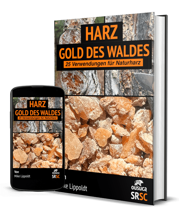 eBook-Cover Harz: Gold des Waldes von Mike Lippoldt
