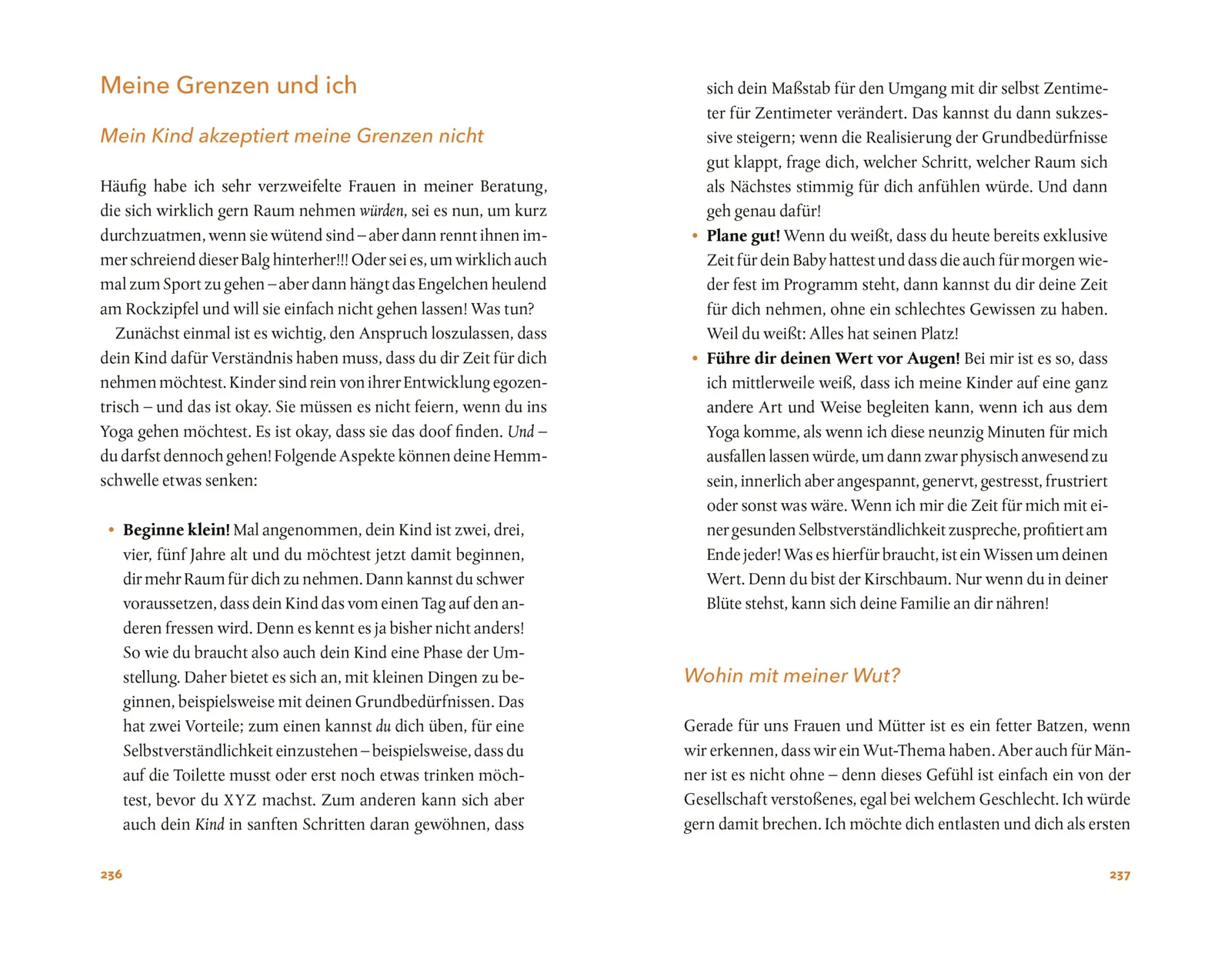 Innenseiten 236-237 aus Hätte, müsste, sollte Erziehungsratgeber