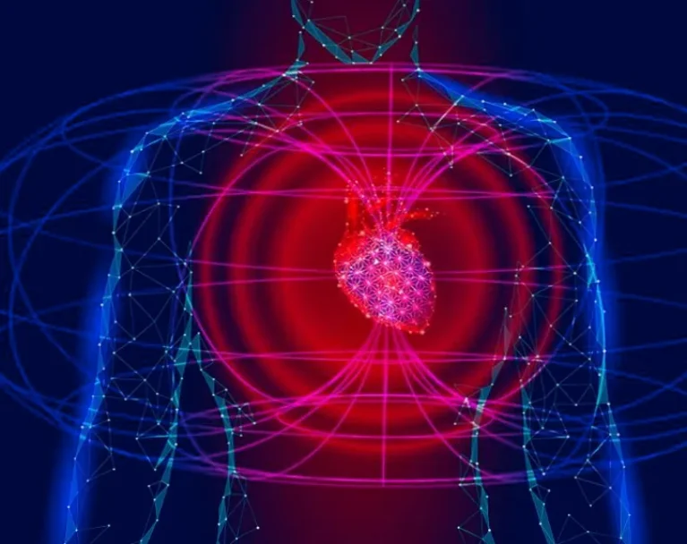 Heart Harmonics – E-Book über Liebesanziehung
