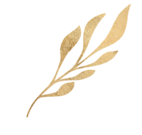 Goldener Pflanzenzweig mit Blättern, zart und filigran, minimalistisch