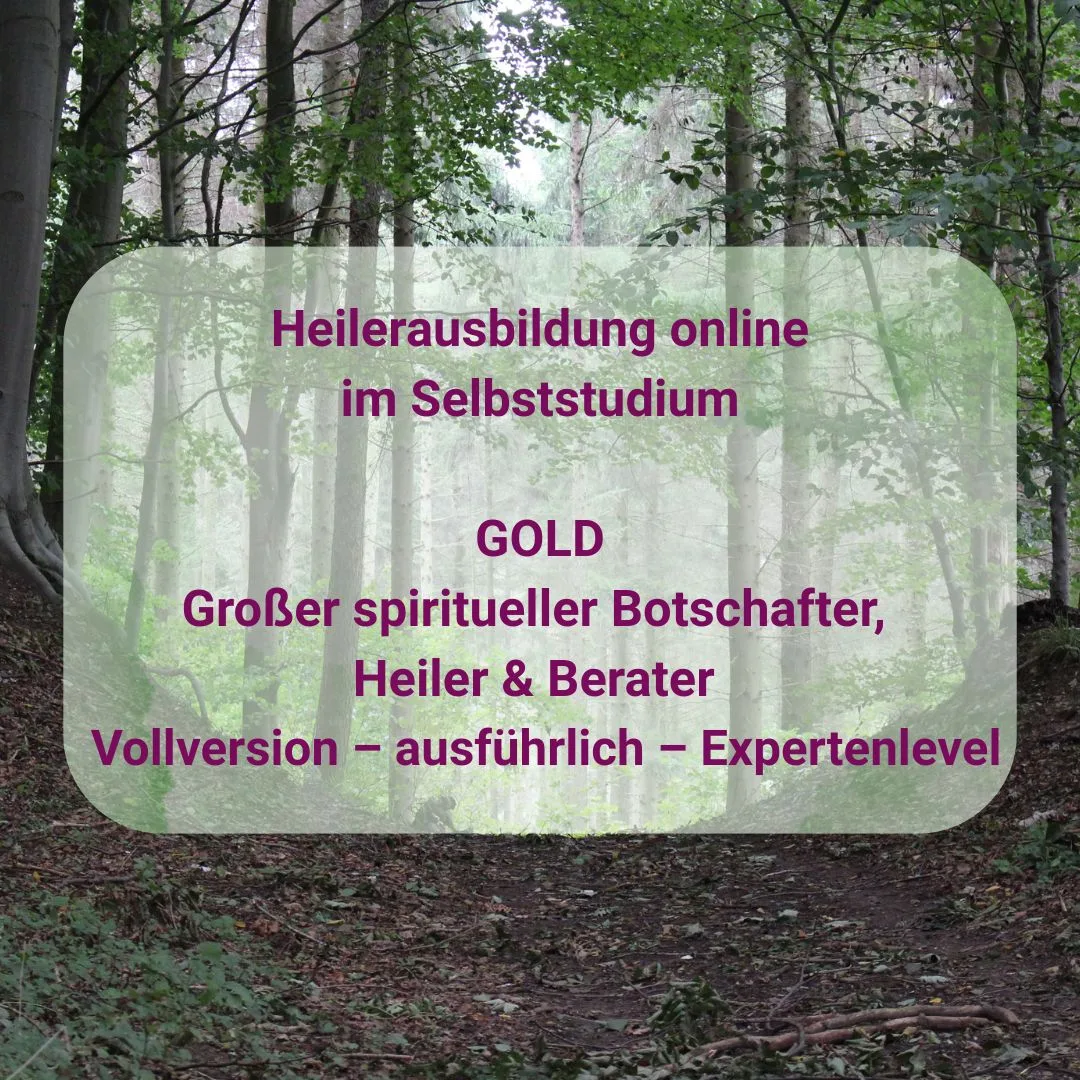 Heilerausbildung online: GOLD – Videokurs spirituelles Heilen 1 Waldweg mit grünem Blätterdach und rundem Textfeld zu Heilerausbildung online GOLD