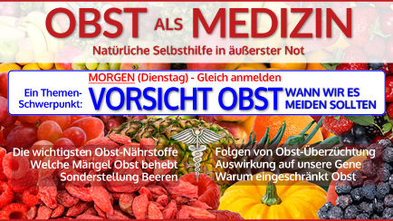 Obst als Medizin Kursmodul mit Beeren und medizinischem Symbol