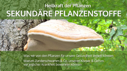 Heilkraft der Pflanzen - Sekundäre Pflanzenstoffe mit Pilz-Fotografie
