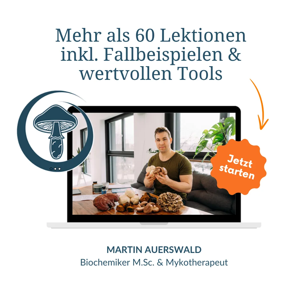 Master-Kurs Werbebanner mit Text, Laptop-Mockup, Kursleiter und Pilz-Icon