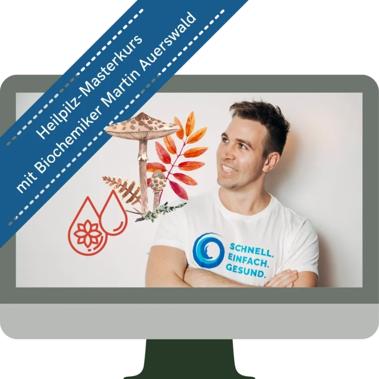 Heilpilze Master-Kurs – Videoausbildung zur Mykotherapie