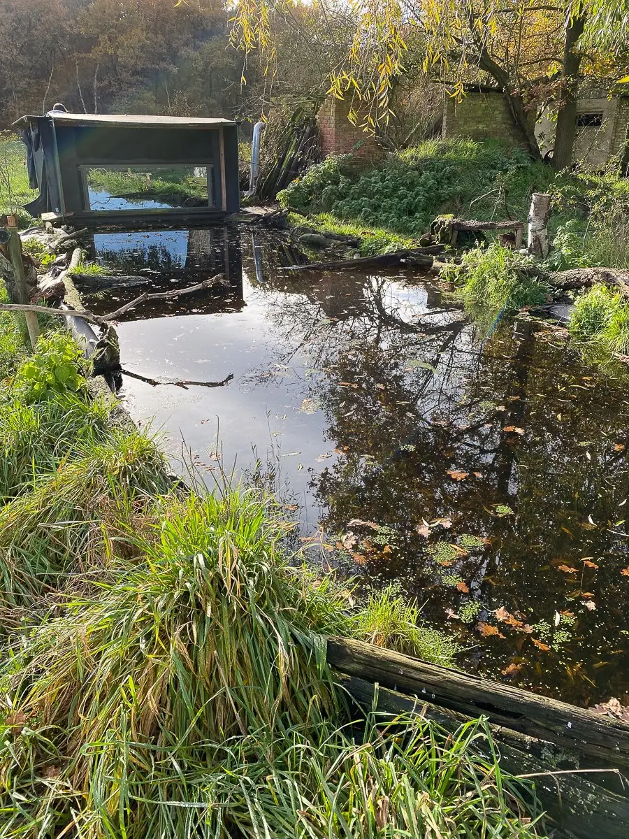 Fotohide mit Teich, Gras und Bäumen im Garten, Beobachtungsplattform sichtbar