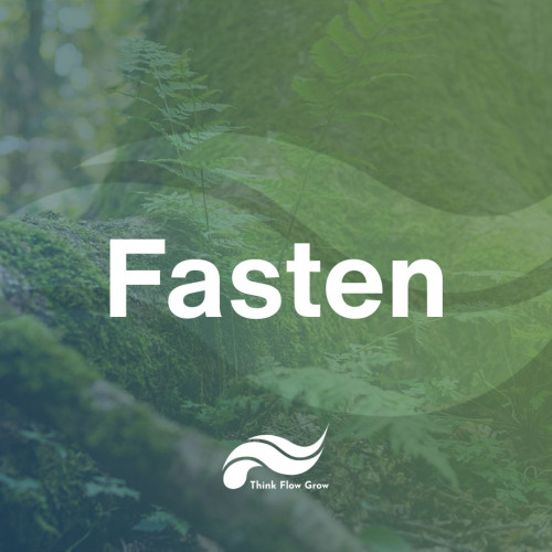Hero-Bild Fasten im März 2025 mit Waldhintergrund und Think Flow Grow Logo