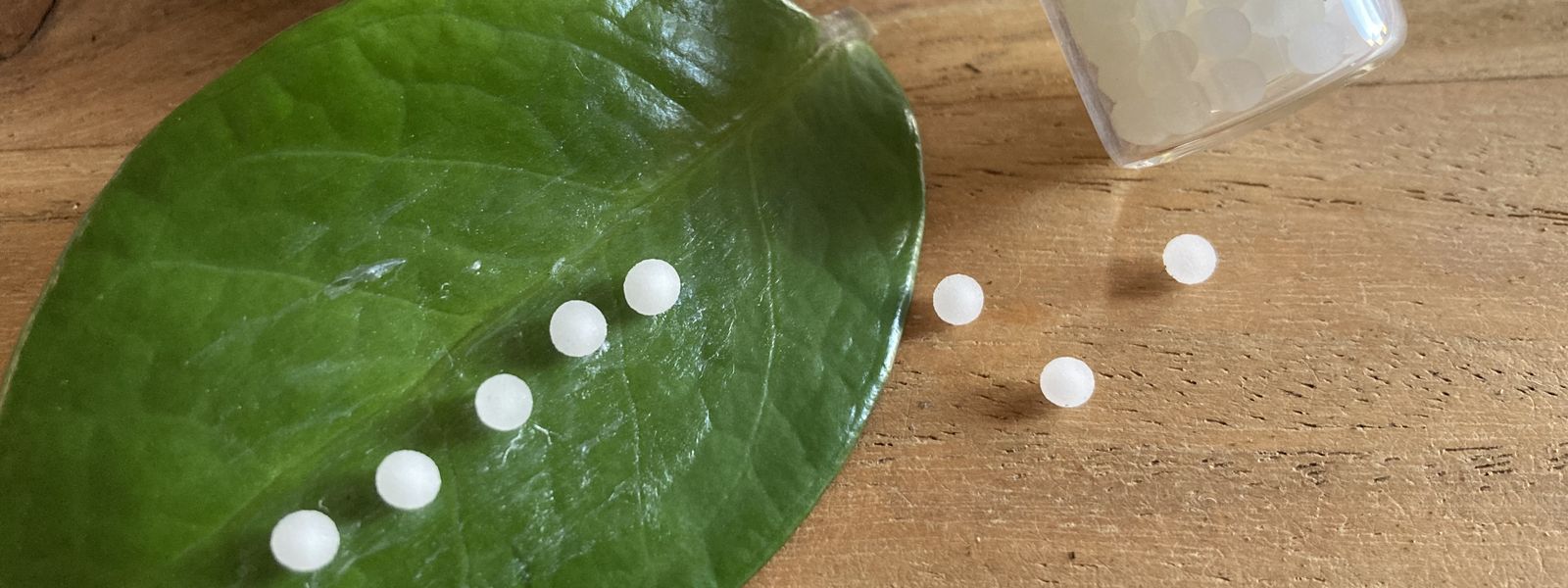 Homöopathische Globuli auf grünem Blatt und Holzuntergrund