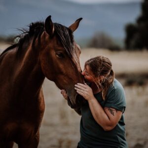 Horse-Balance