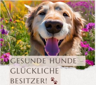 E-Book Cover Hunde Gesundheit - Alltags Guide von Loverie