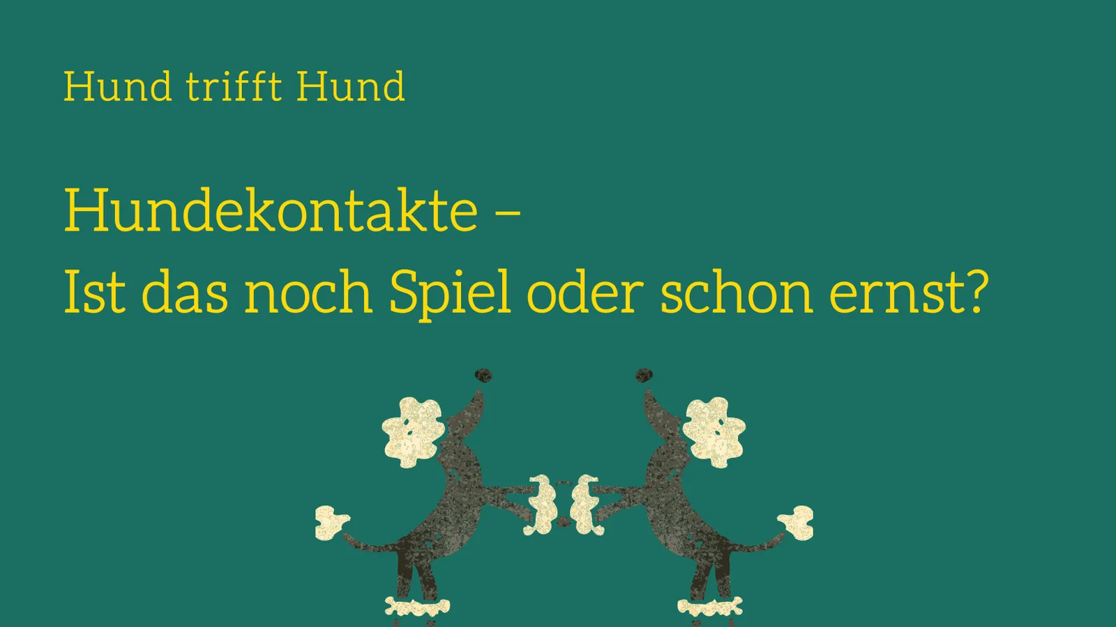 Hundebegegnungen an der Leine – Webinar für Hundehalter 7 Kursmodul-Banner mit zwei spielenden Hunden auf grünem Hintergrund