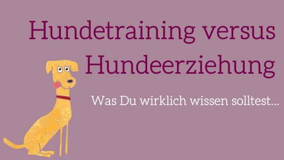 Hundebegegnungen an der Leine – Webinar für Hundehalter 5 Übersichts-Banner: Hundetraining versus Hundeerziehung mit gelber Hund-Illustration