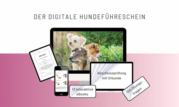Landingpage Header mobil mit drei Hunden, Geräte und Prüfungsinformationen