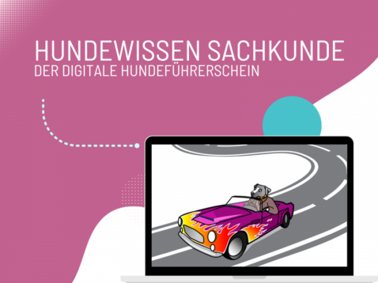 Hundewissen Sachkunde – Der Digitale Hundeführerschein