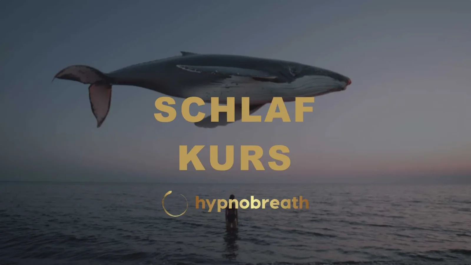 Wal im Meer mit Person im Wasser und Text Schlafkurs in Gold