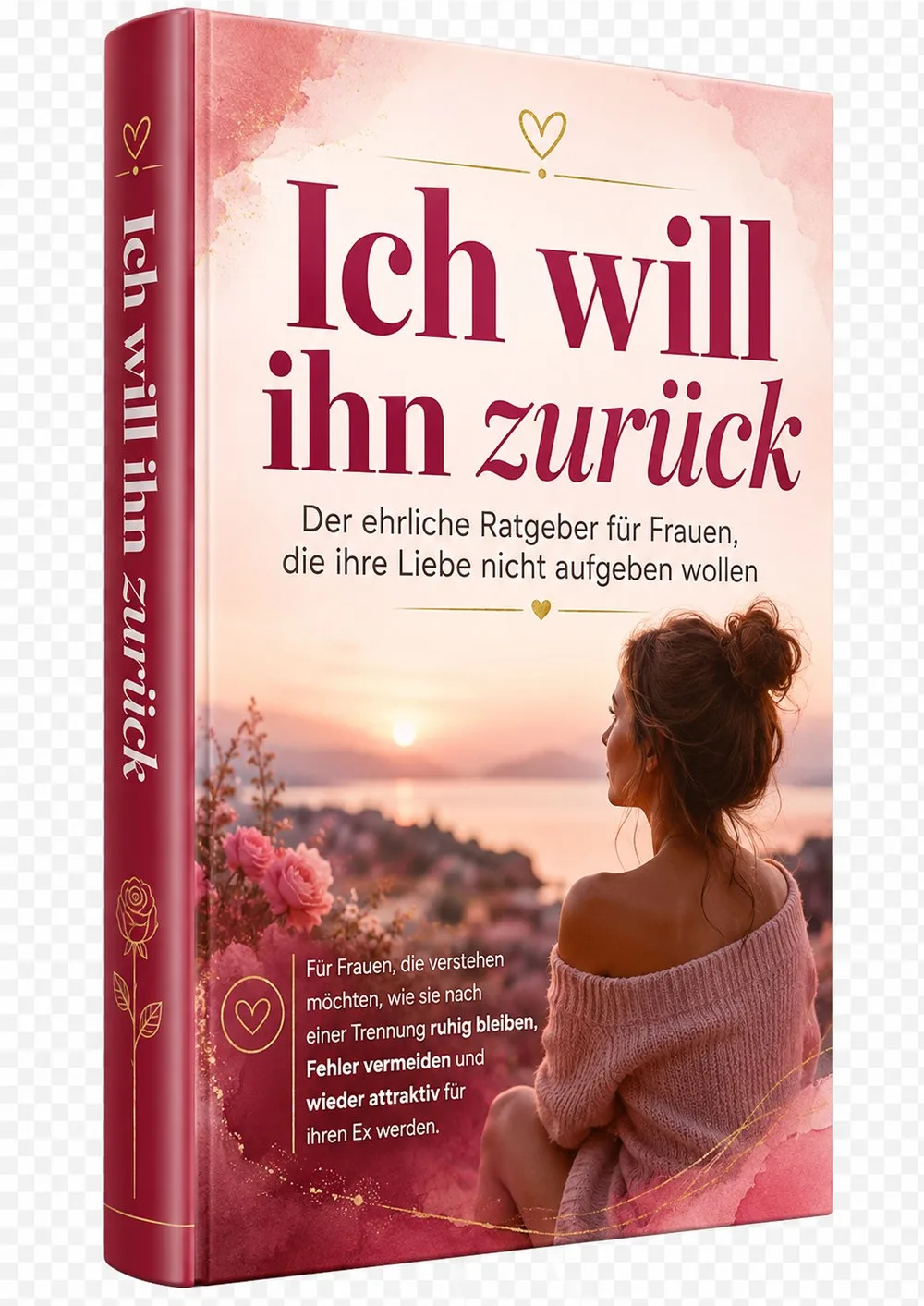 E-Book Cover Ich will ihn zurück von Ratgeberplatz, Anleitung zur Ex-Rückgewinnung