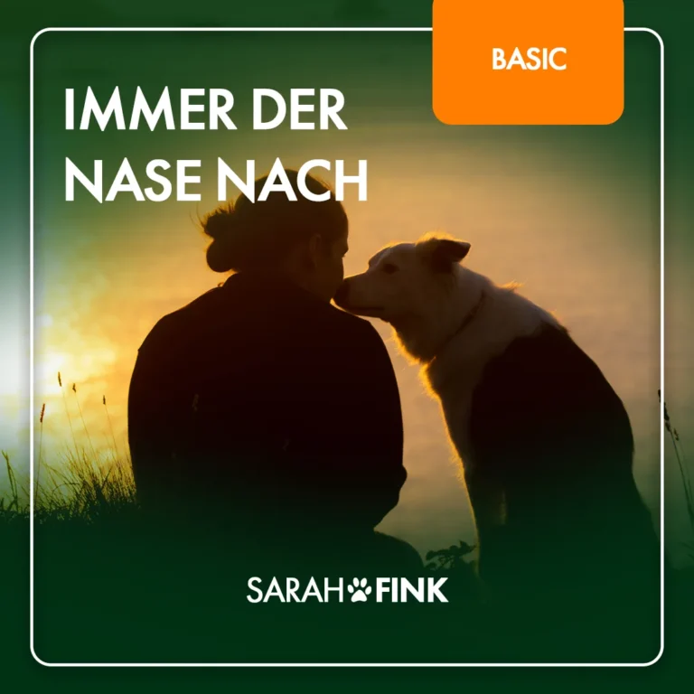 Immer der Nase nach – Videokurs zum Spürhundetraining von Sarah Fink