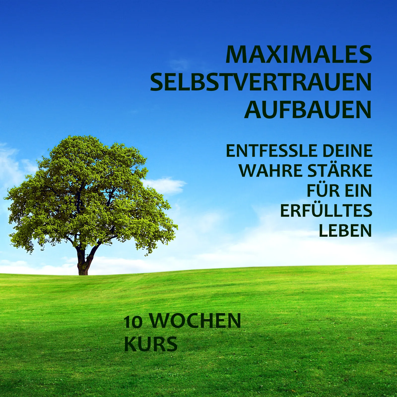 Cover mit grüner Wiese und Baum unter blauem Himmel, Text zum 10-Wochen-Kurs Selbstvertrauen aufbauen