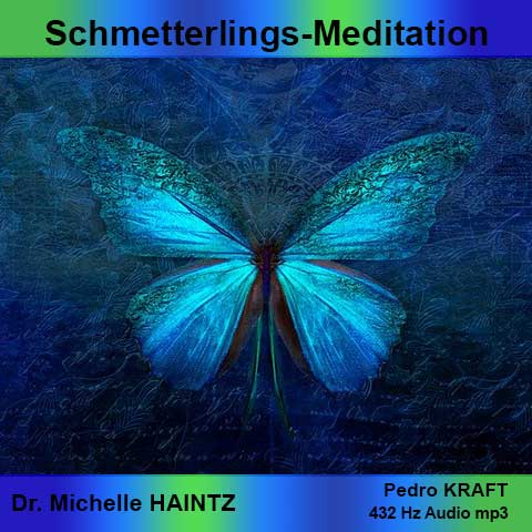 Schmetterlings-Meditation Cover mit leuchtend türkisem Schmetterling
