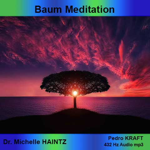 Meditationssession Baum aus dem Inneres Kind Programm