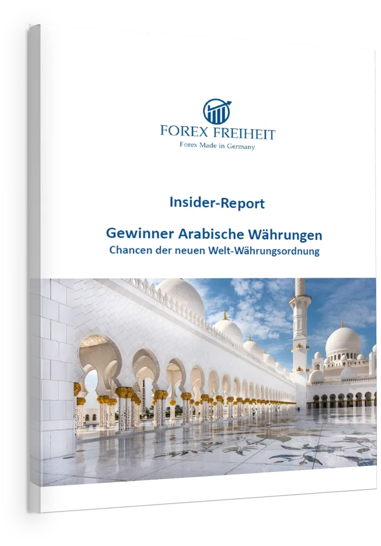 Insider-Report Arabische Währungen E-Book Einzelansicht