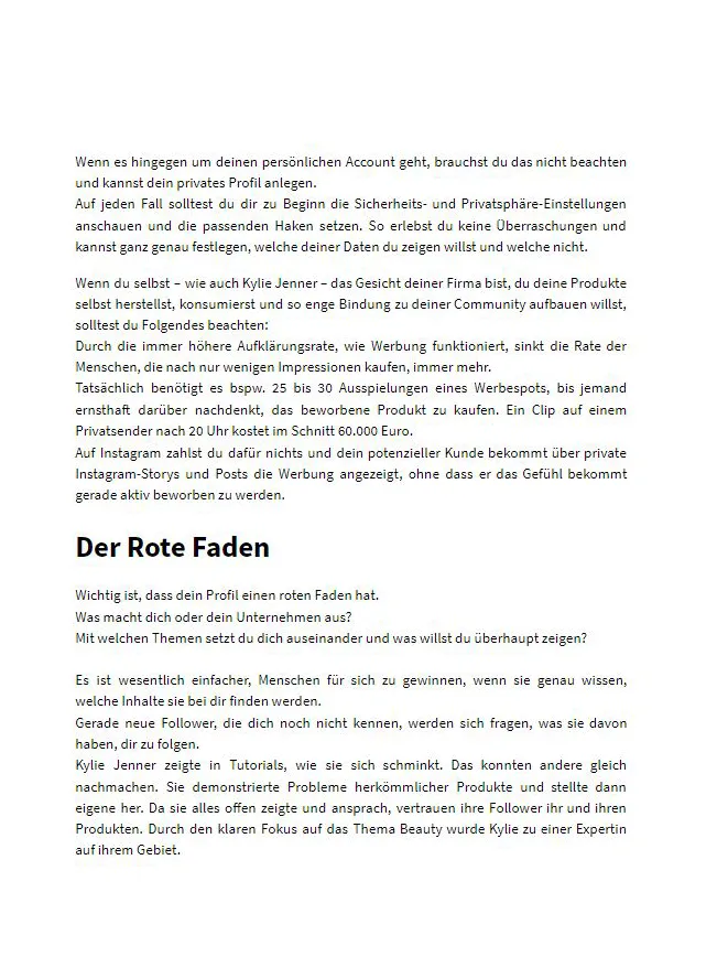 Textseite mit Kapiteln Der Rote Faden und Erklärung zur Konsistenz und Sichtbarkeit auf Instagram