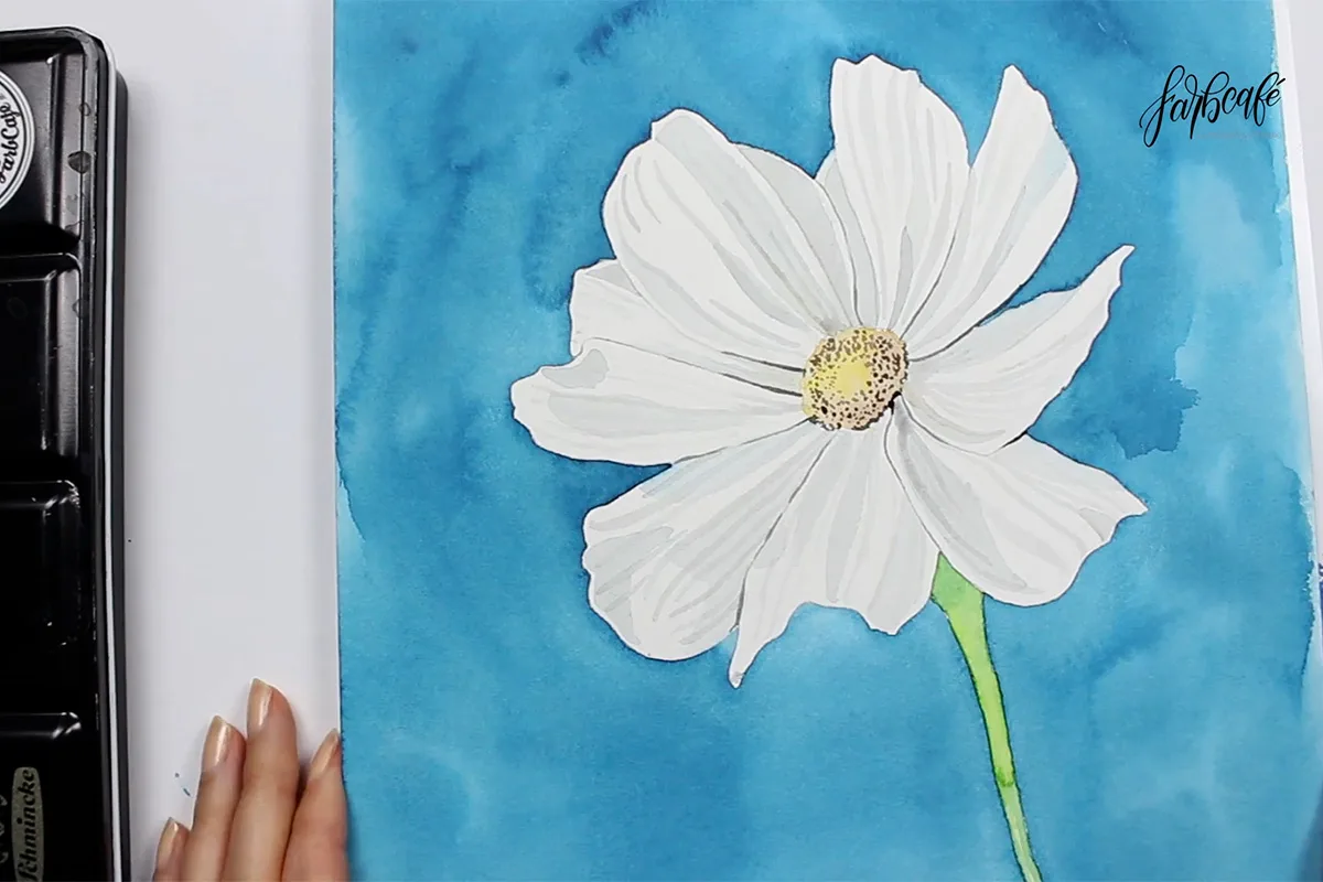 Aquarell weißer Cosmos auf blauem Hintergrund mit Aquarellpalette und Pinseln daneben