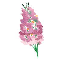 Aquarell-Icon Flieder in Rosa und Violett mit feinen Details