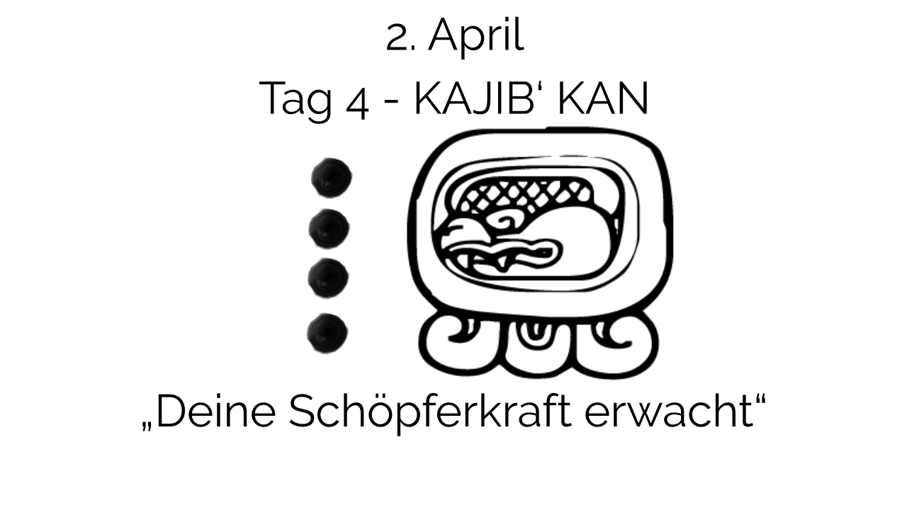 Live-Online-Kurs Intensivmedizinweg Tag 4, Kursinhalt und Unterrichtsmaterial