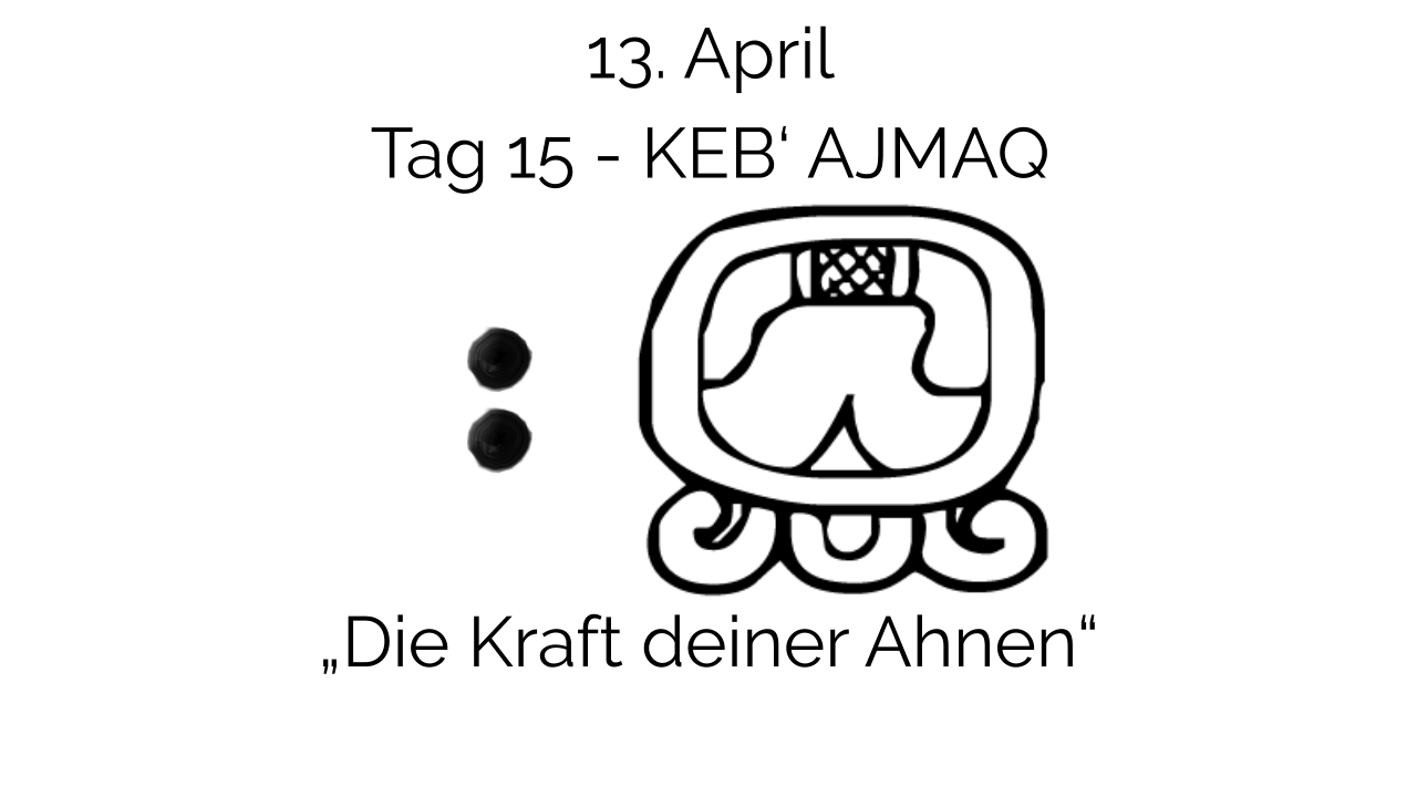 Live-Online-Kurs Intensivmedizinweg Tag 15, Kursinhalt und Unterrichtsmaterial