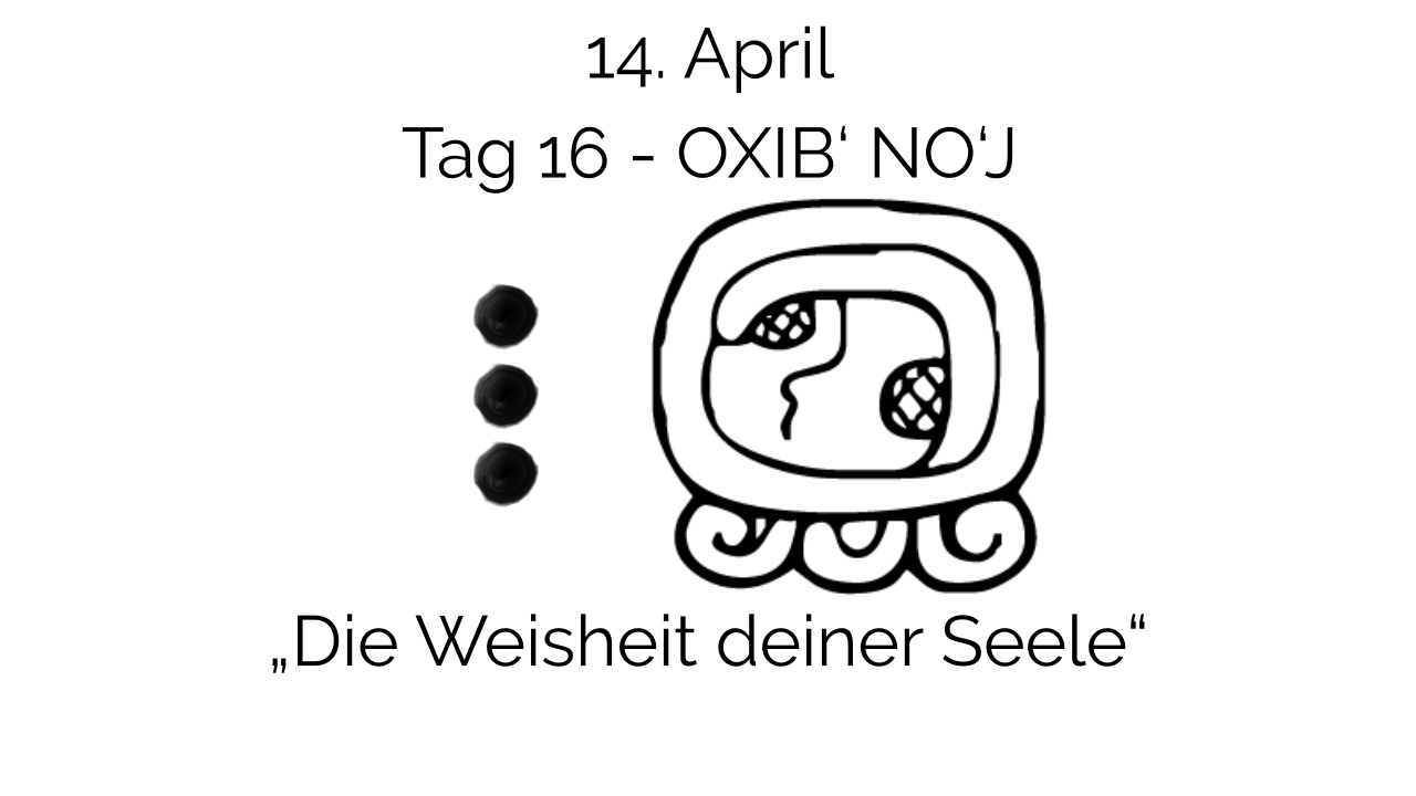 Live-Online-Kurs Intensivmedizinweg Tag 16, Kursinhalt und Unterrichtsmaterial