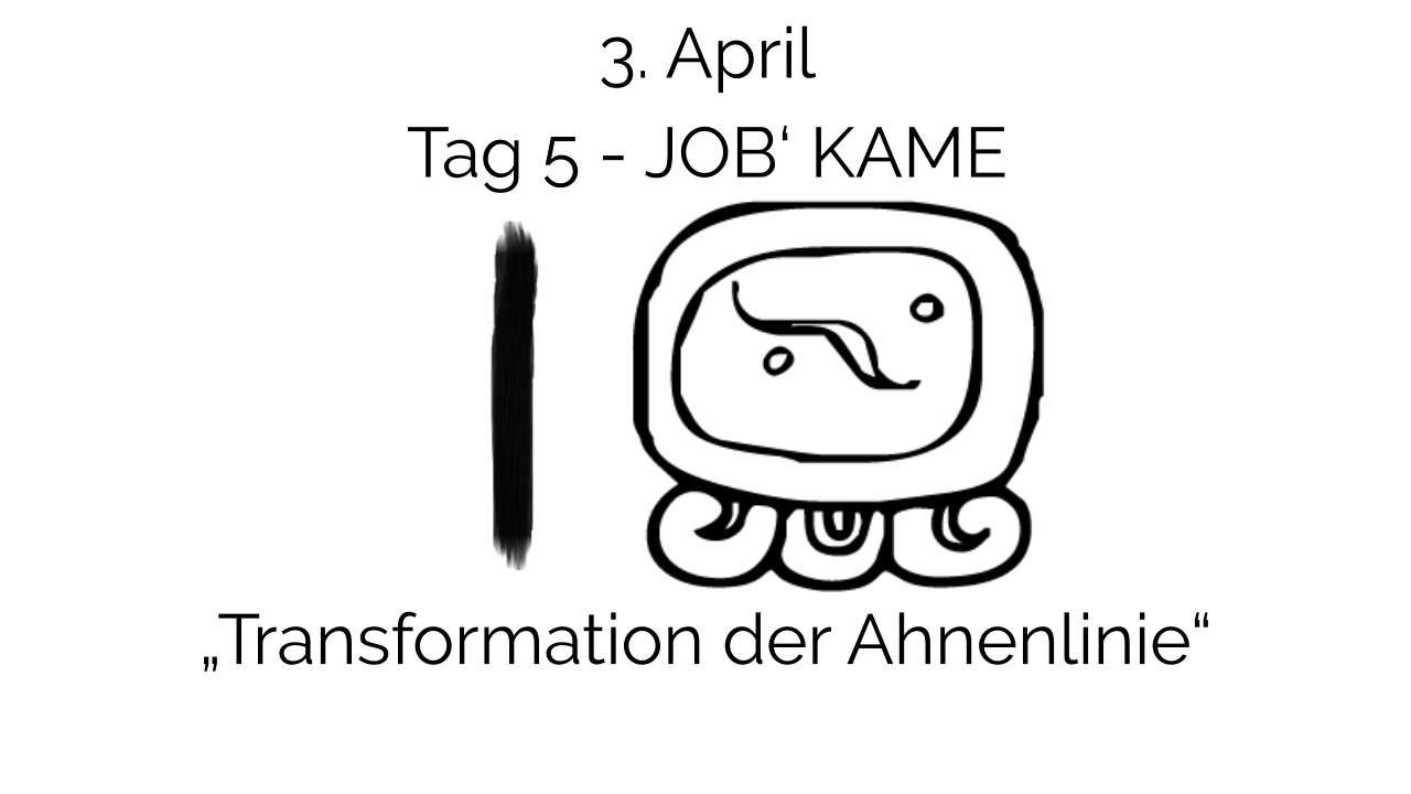 Live-Online-Kurs Intensivmedizinweg Tag 5, Kursinhalt und Unterrichtsmaterial
