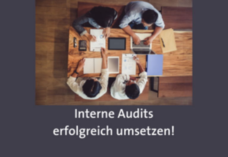 Interne Audits – Videokurs Qualitätsmanagement von Ursula Wienken
