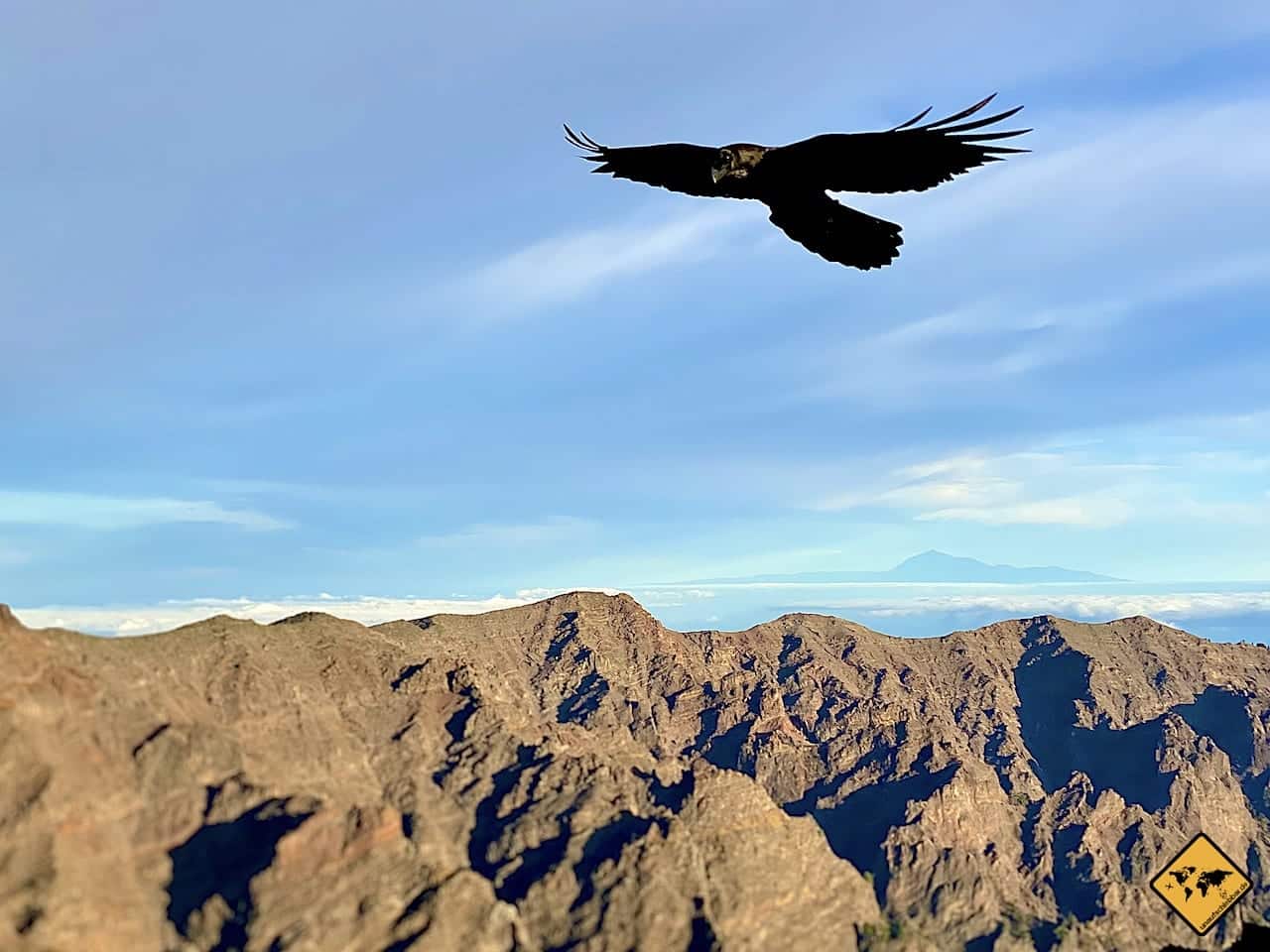 Schwarzer Rabe im Flug über bergiger Landschaft mit See und blauem Himmel