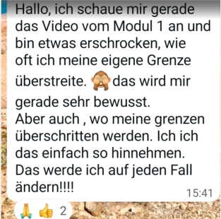 Kundenstimme mit Modul-Feedback zu Grenzenüberschreitung und Veränderungswille