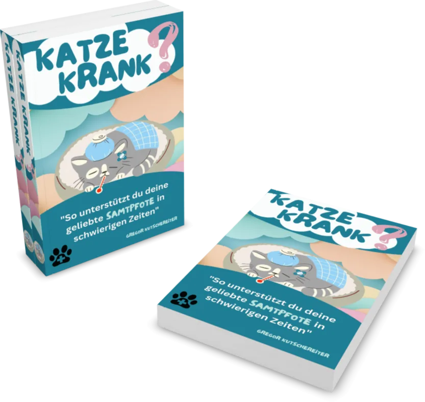 Taschenbuch Katze krank? mit Illustration einer kranken Katze, Mockup von Verpackung und aufgeklapptem Buch