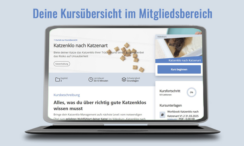 Screenshot Mitgliedsbereich mit Kursinformationen, Lektionen und Video-Player zum Videokurs Katzenklo nach Katzenart
