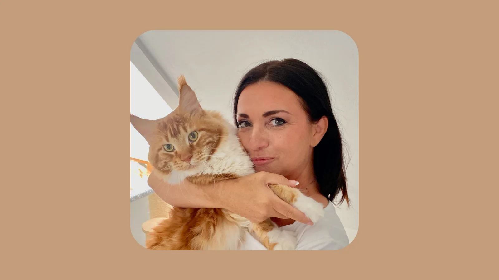 Petra Ott hält Orangeweiße Katze lächelnd, Nahaufnahme Portrait