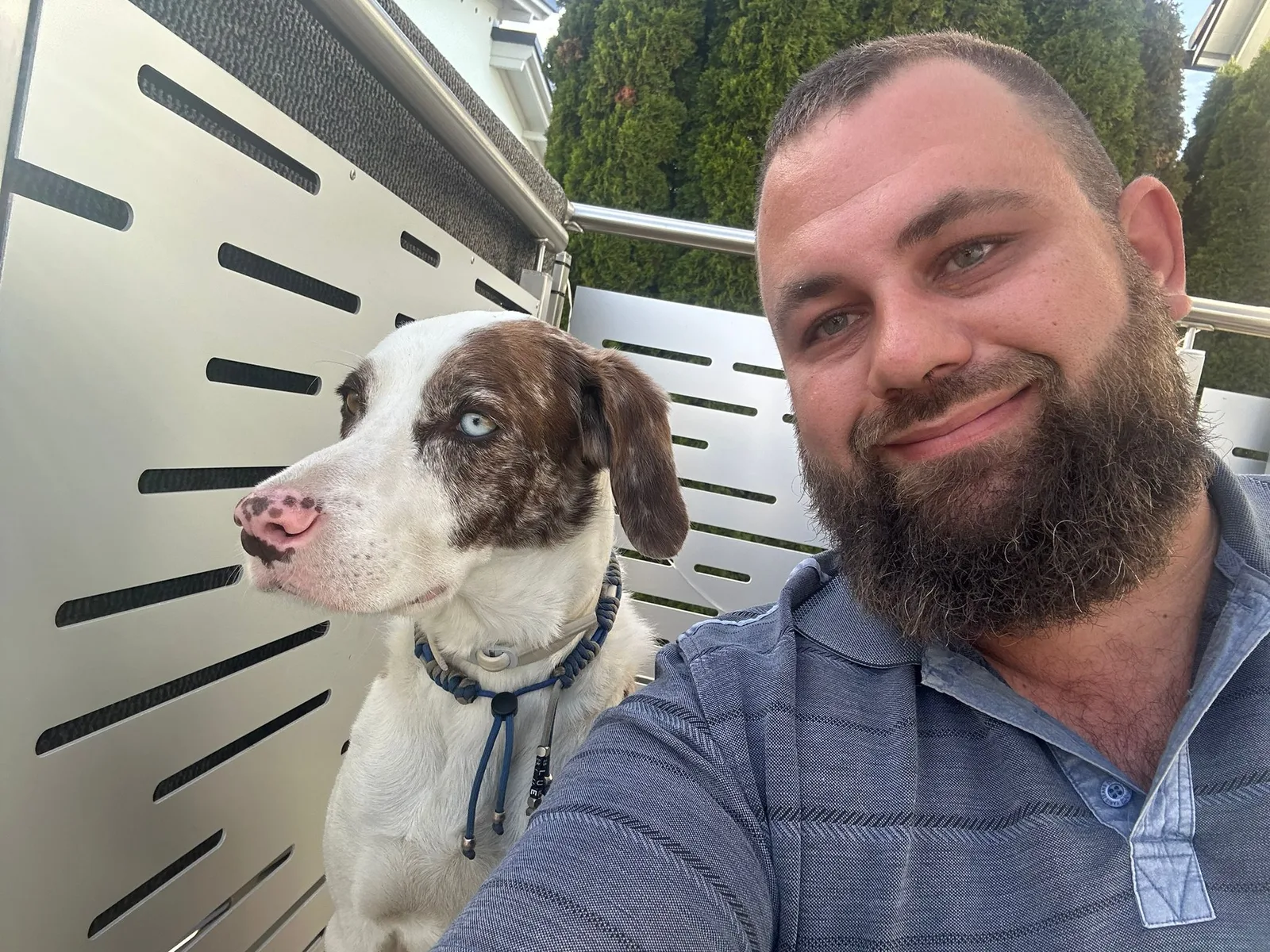 Mann mit Bart und brauner Springer-Spaniel Hund vor Hundebox, freundliches Porträt