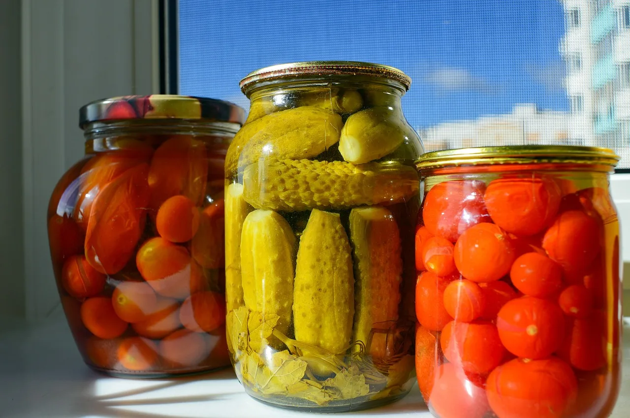 Kimchi leicht gemacht – dein DIY-Fermentations-E-Book 8 Drei Gläser mit eingelegten Tomaten, Gurken und Paprika in Salzlake bei Tageslicht